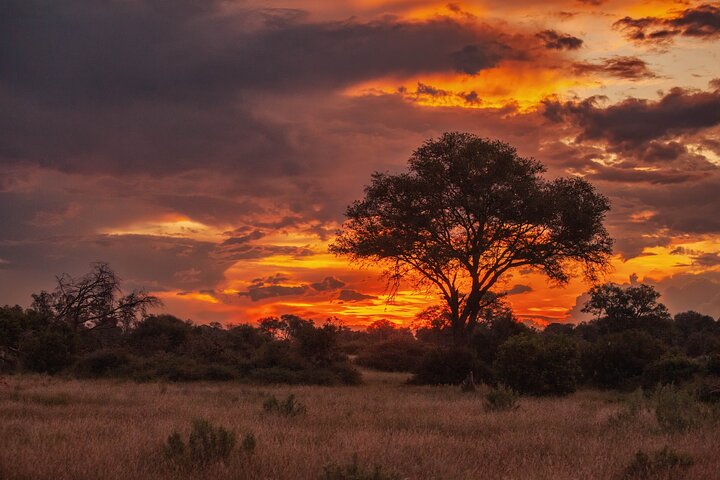 Hluhluwe-iMfolozi Park: Privat grupp hel dagssafari