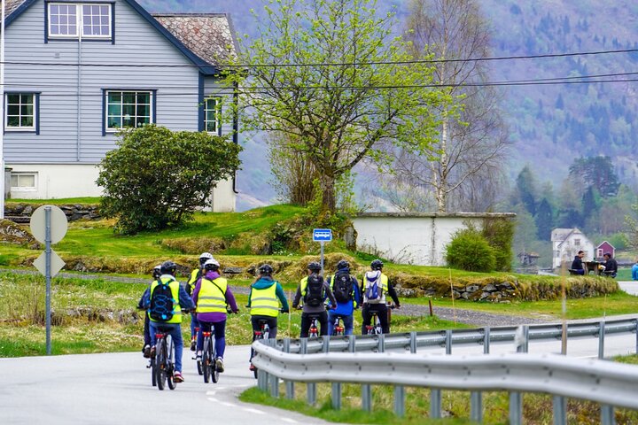 Olden : Naturskön elcykeltur med sjönära picknick och utsikt över fjorden
