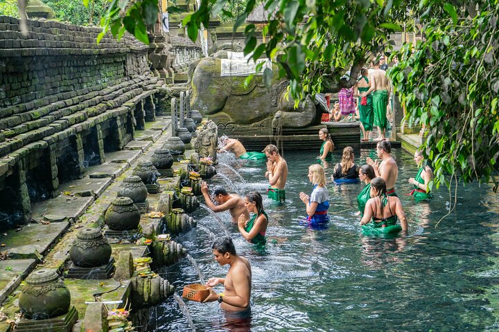 Ubud Private Tour: Waterfalls, Temple and Rice Terraces Swing