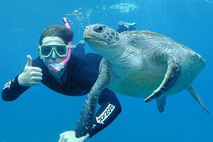 Hikkaduwa Oförglömlig Snorkling upplevelse