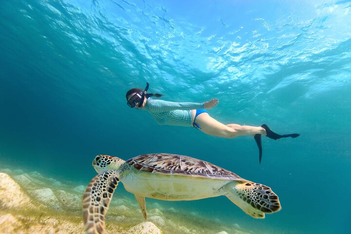 Hikkaduwa Oförglömlig Snorkling upplevelse
