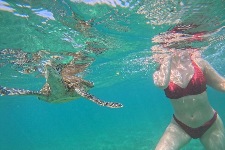 Hikkaduwa Oförglömlig Snorkling upplevelse