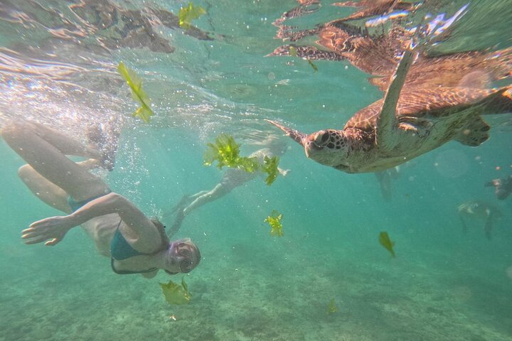 Hikkaduwa Oförglömlig Snorkling upplevelse