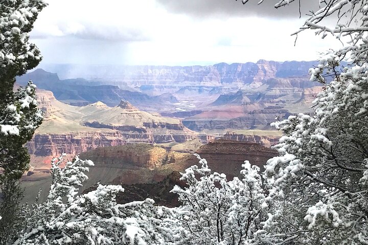 Excursão ao Grand Canyon saindo de Tusayan