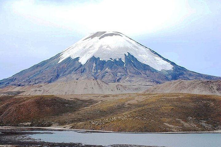 Visite du lac Chungará et du parc de Lauca au départ d'Arica avec déjeuner