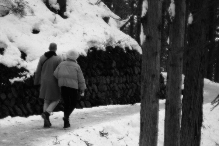 Nagano Snow Monkeys - Privat halvdagstur