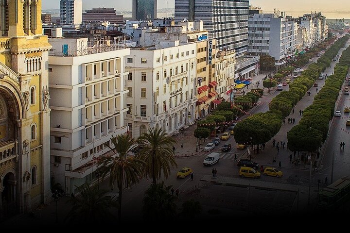 Fun tour de prestígio Tunis: Bardo/Medina, Carthage e Sidi Boussaid