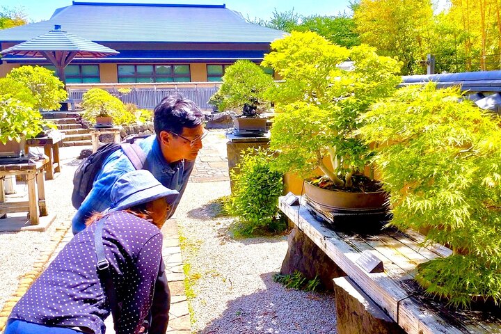 Visite d'art Bonsaï et expérience dans la ville la plus sacrée du Japon