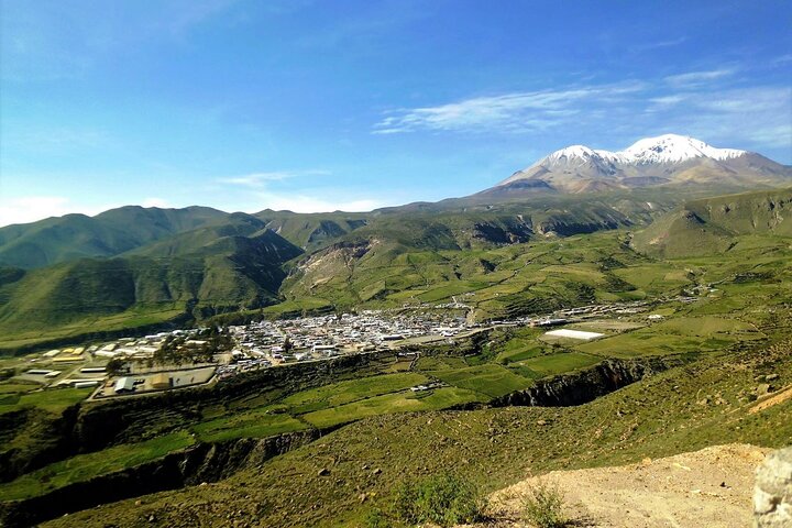 Visite du lac Chungará et du parc de Lauca au départ d'Arica avec déjeuner