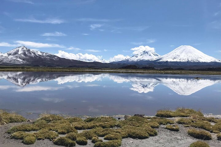 Visite du lac Chungará et du parc de Lauca au départ d'Arica avec déjeuner