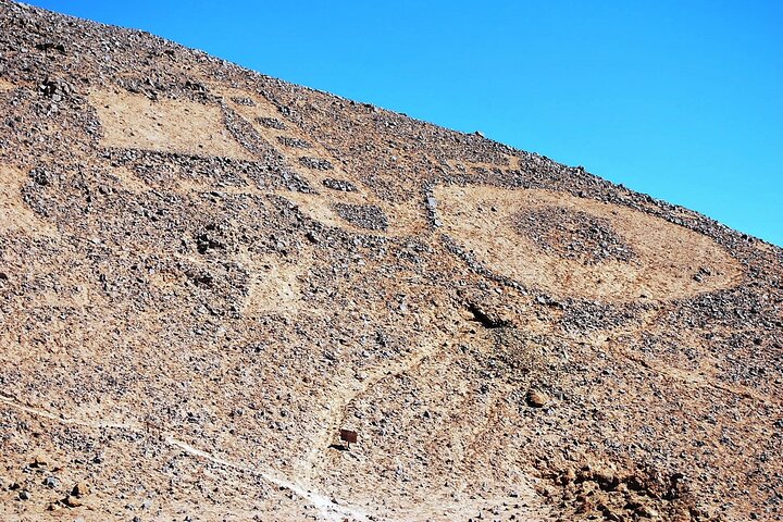 Visite du lac Chungará et du parc de Lauca au départ d'Arica avec déjeuner