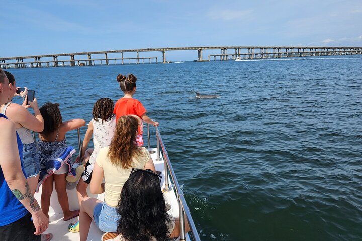 Hoteller i nærheden af Pensacola Beach Dolphin and Scenic Tour