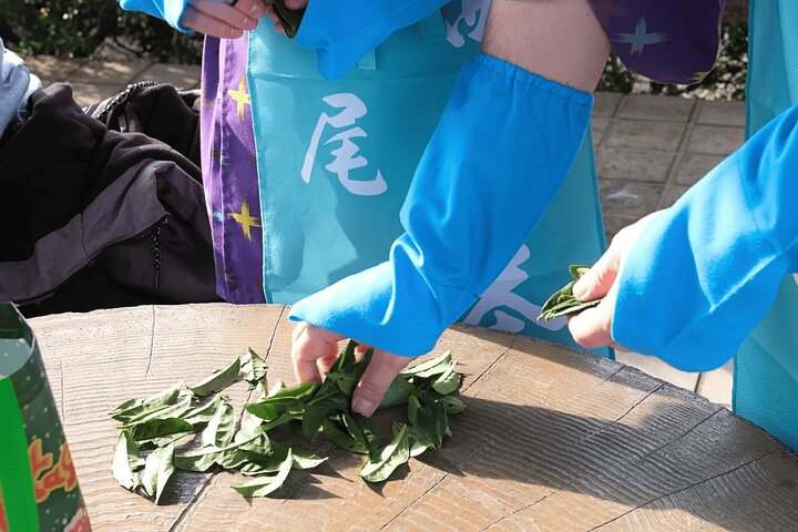 西尾ならではの抹茶体験: 抹茶ツアーと抹茶作り
