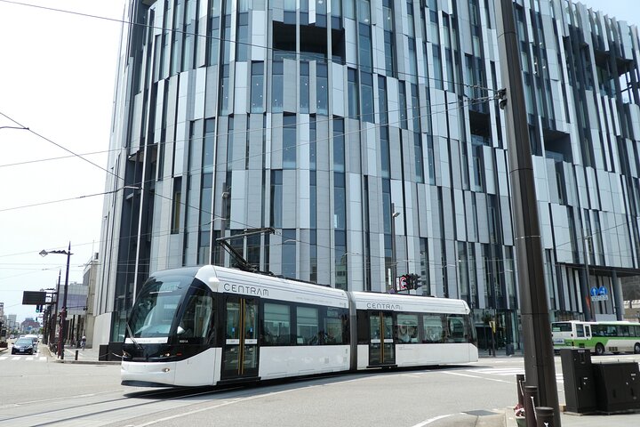 Toyama anpassad privat tur på en dag med licensierad Guide
