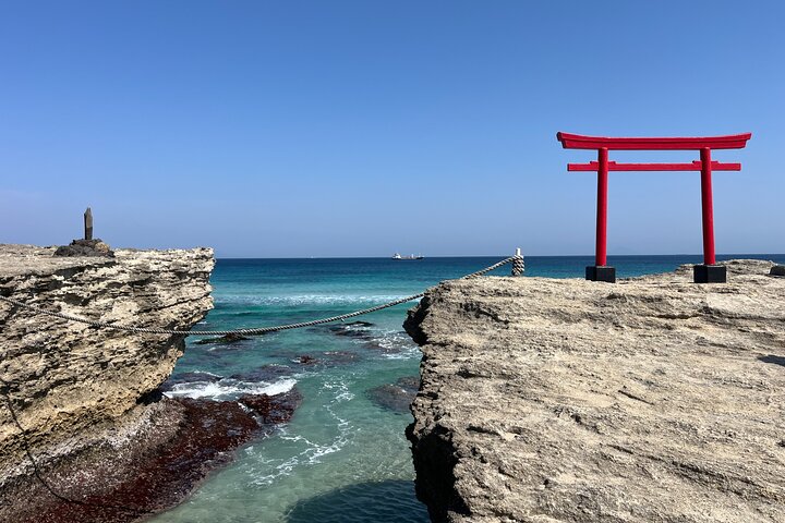 Ultimate View Izu Autotour mit Hotelabholung und Ortskundiger Reiseleiter