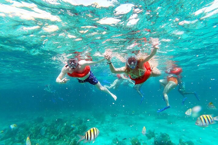 Negril : MAÑANA Catamarán Crucero Cuevas Natación Esnórquel en Arrecifes