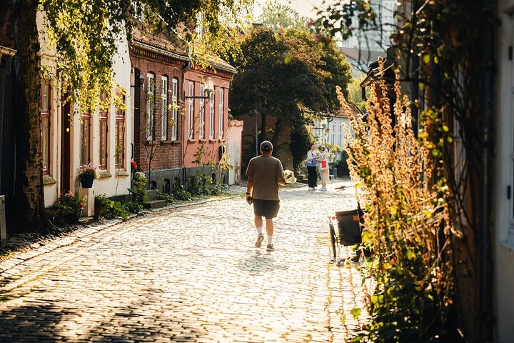 Aarhus City Highlights Tour: Historia, Kultur & Gatukonst