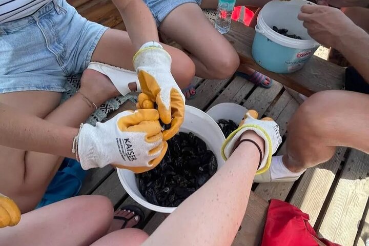 Ksamil: Mussel seiltur med mat og drikke i Albania