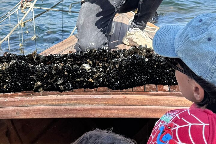 Ksamil: Mussel seiltur med mat og drikke i Albania