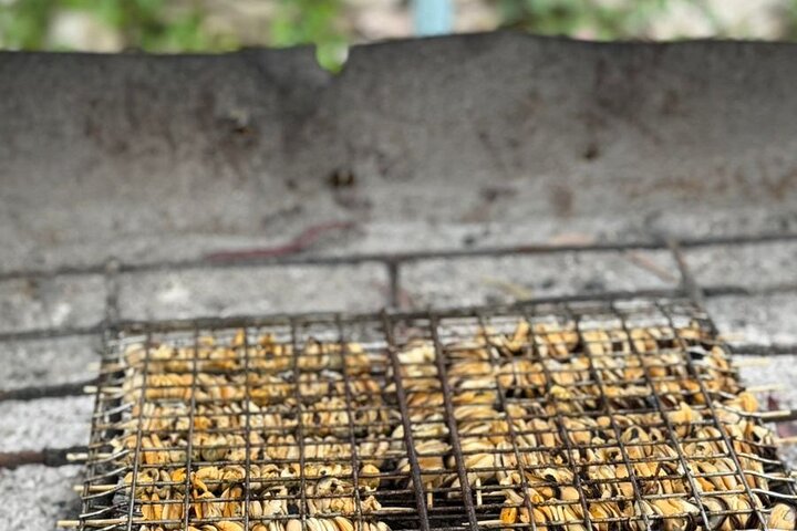 Ksamil: Mussel seiltur med mat og drikke i Albania
