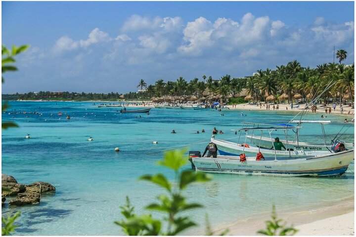Halbtägige Meeresschildkröten- und Cenote-Schnorcheltour ab Cancun und Riviera Maya