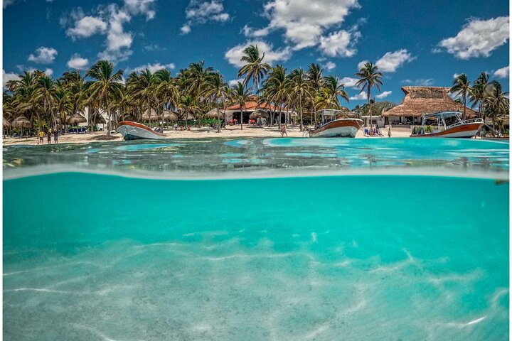 Halbtägige Meeresschildkröten- und Cenote-Schnorcheltour ab Cancun und Riviera Maya