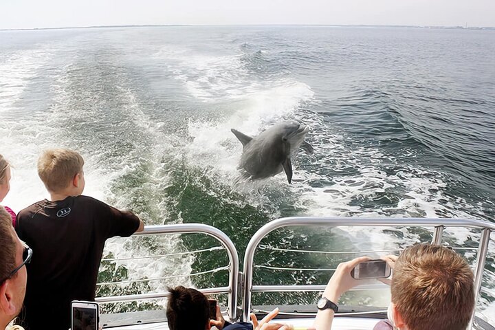 Hoteller i nærheden af Pensacola Beach Dolphin and Scenic Tour