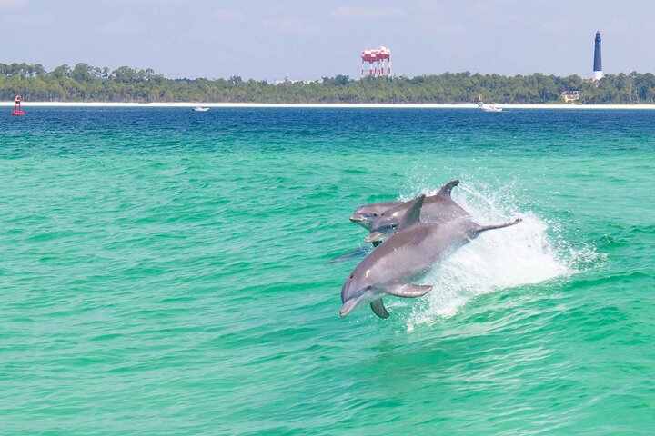 Hoteller i nærheden af Pensacola Beach Dolphin and Scenic Tour