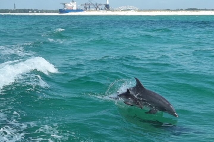Hoteller i nærheden af Pensacola Beach Dolphin and Scenic Tour