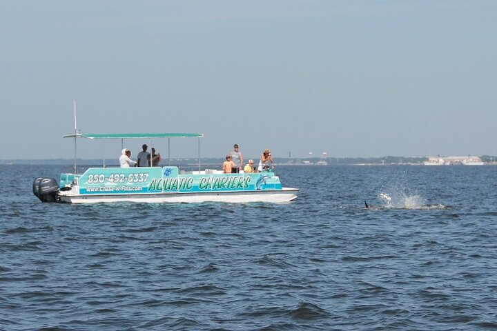 Hoteller i nærheden af Pensacola Beach Dolphin and Scenic Tour