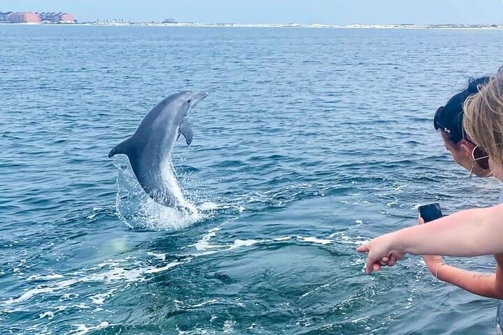 Hoteller i nærheden af Pensacola Beach Dolphin and Scenic Tour