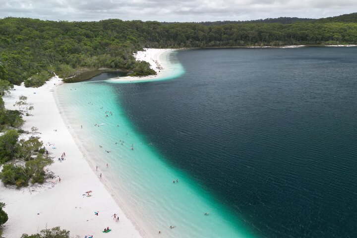 Dingos 3 jours K'Gari (Fraser Island) Tour en 4x4 en accompagnement