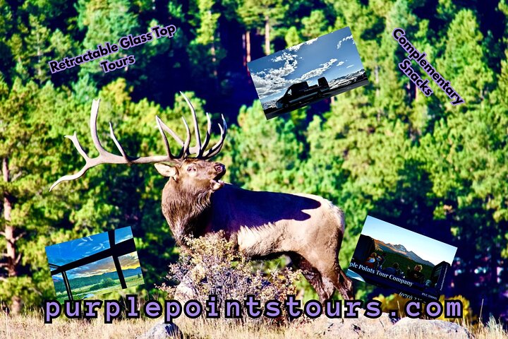 Einziehbare Glas Top Tours von RMNP von Purple Points Tour Company