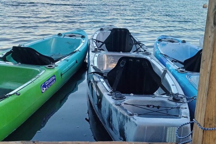 Tour de Dindin’s Biobay Tours-CLEAR BOTTOM KAYAKS en Mosquito Bay