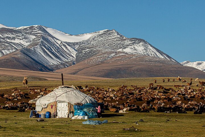 Scopri i Monti Altai 8 - Tour di un giorno in Mongolia occidentale