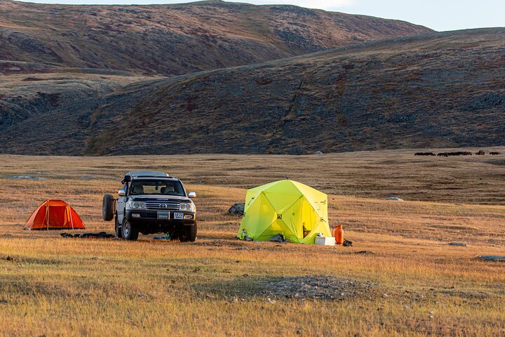 Scopri i Monti Altai 8 - Tour di un giorno in Mongolia occidentale