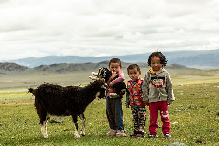Scopri i Monti Altai 8 - Tour di un giorno in Mongolia occidentale