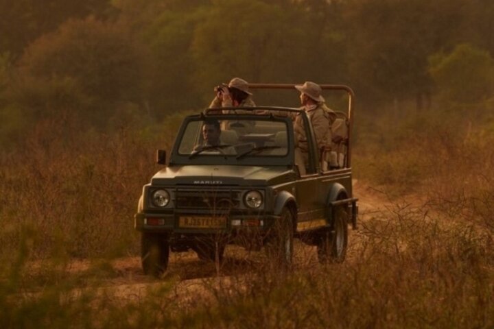 Ranthambore Tiger Safari | Gemeinsame Galopp-, Jeep- und Privatsafari