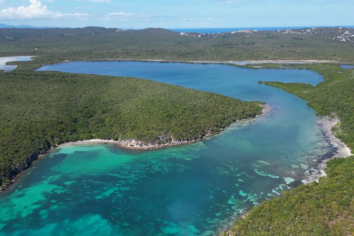 Tour de Dindin’s Biobay Tours-CLEAR BOTTOM KAYAKS en Mosquito Bay