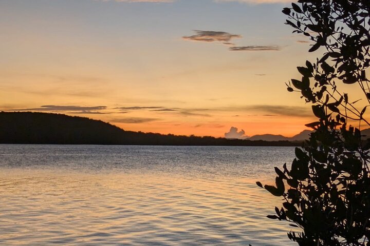 Tour de Dindin’s Biobay Tours-CLEAR BOTTOM KAYAKS en Mosquito Bay