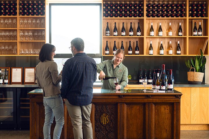 Excursão de meio dia pela vinícola Martinborough saindo de Wellington