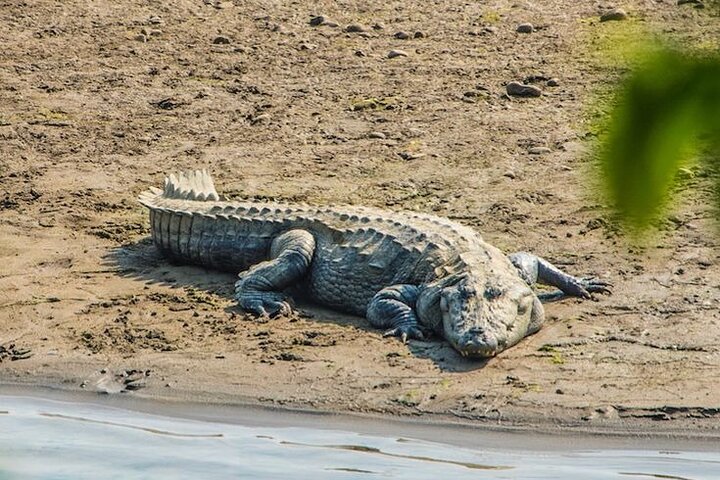 Halve dag Jeep Safari delen in Chitwan National Park