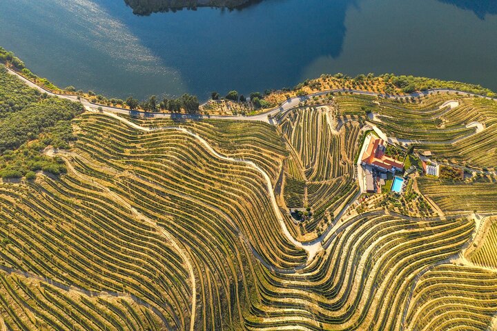 Douro Valley Tour : wijnproeverij, cruise en lunch vanuit Porto