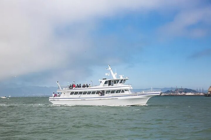 San Diego Whale / Dolphin Watching kryssning ombord på lyxfartyg