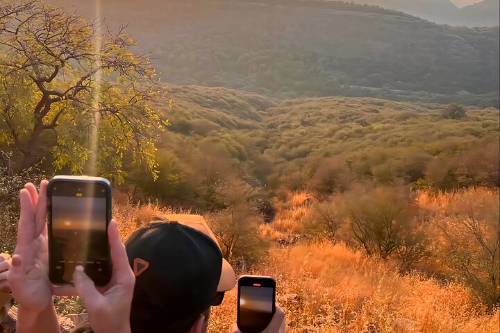 Ranthambore Tiger Safari | Gemeinsame Galopp-, Jeep- und Privatsafari