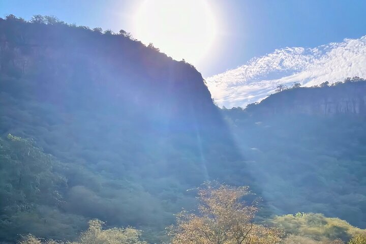 Ranthambore Tiger Safari | Gemeinsame Galopp-, Jeep- und Privatsafari