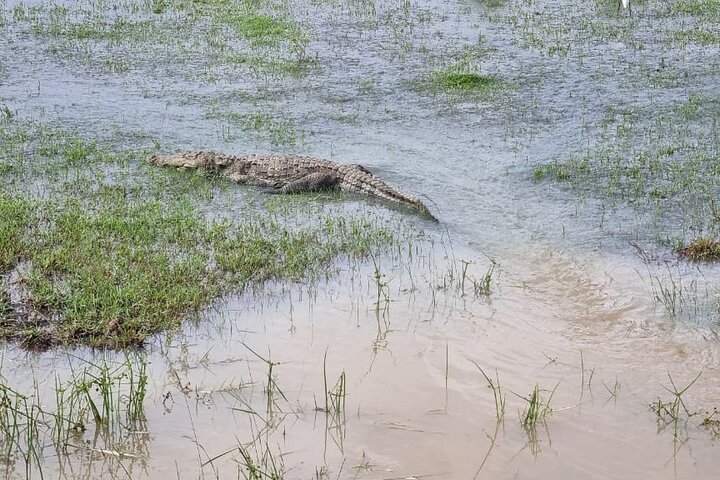 Safari Yala da Galle / Unawatuna / Waligama / MIrissa / Matara