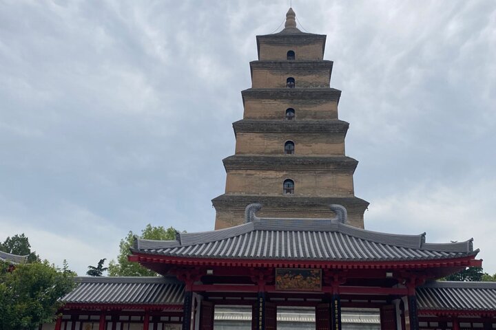 Skräddarsydd privat dagstur : Terracotta Army&Xi'an (inträdesavgift exkl.)