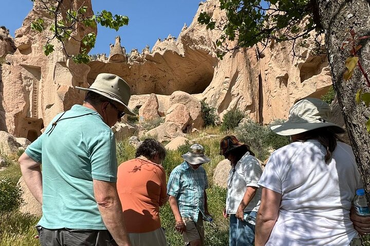 Mix Tour (kombinerad röd + grön tur) Allt ingår (liten grupp)