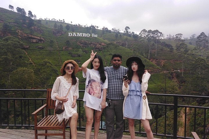 Hoteller i nærheden af Kandy to Ella Scenic Road Trip and Train Ride Tour
